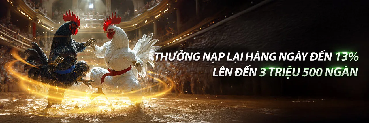 Đá Gà Trực Tuyến hi88.com 2026